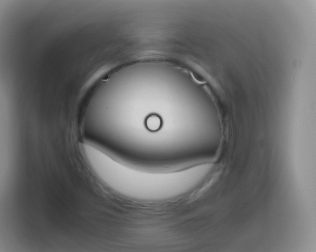 X0000113751453200910071056