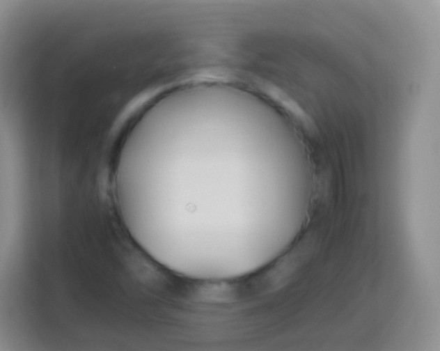 X0000113751454200910071056