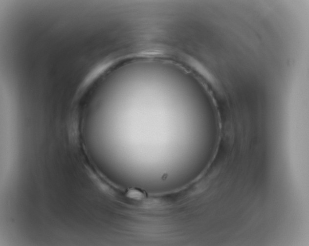 X0000113751456200910071056