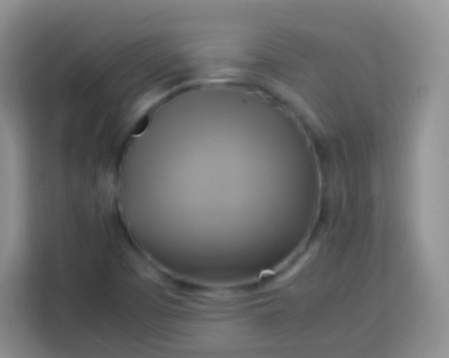 X0000113751457200910071056