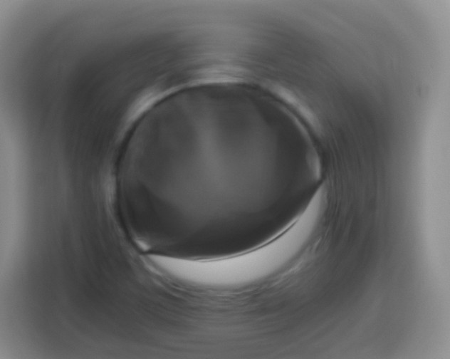 X0000113751459200910071056