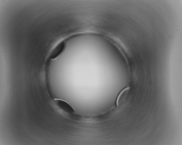 X0000113751460200910071056