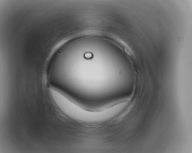 X0000113751461200910071056