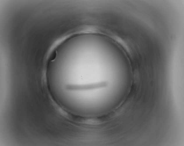 X0000113751464200910071056