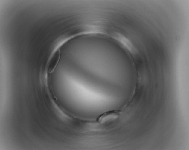 X0000113751468200910071056