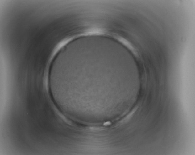 X0000113751469200910071056