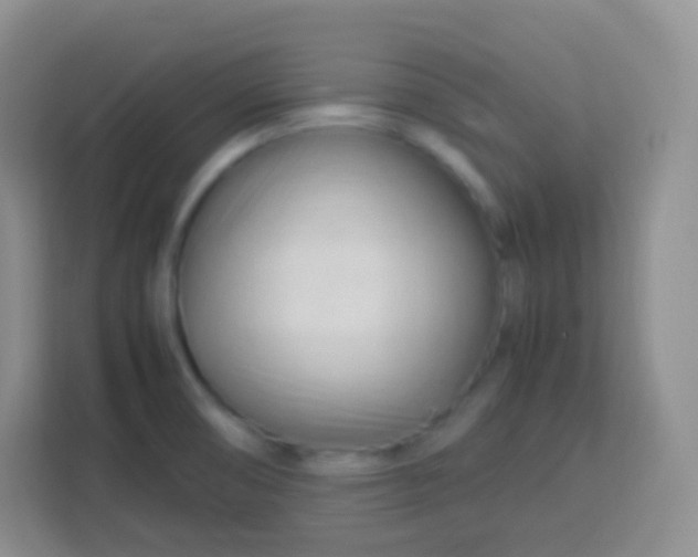 X0000113751474200910071056