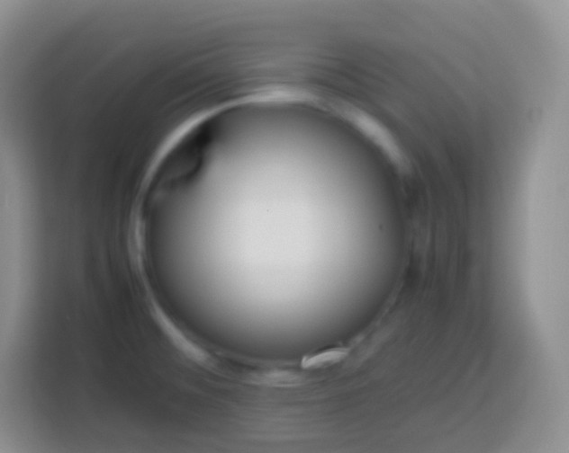 X0000113751476200910071056