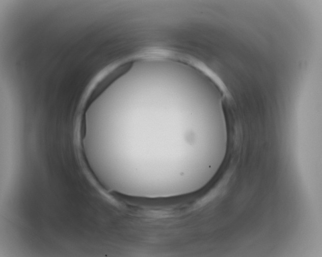 X0000113751477200910071056