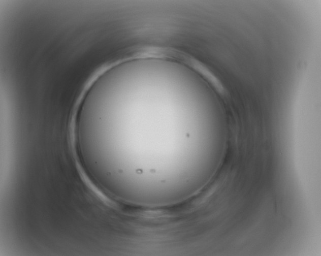 X0000113751479200910071056