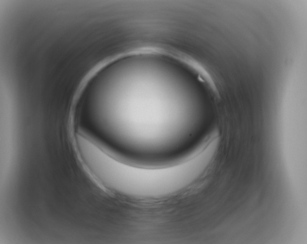 X0000113751480200910071056