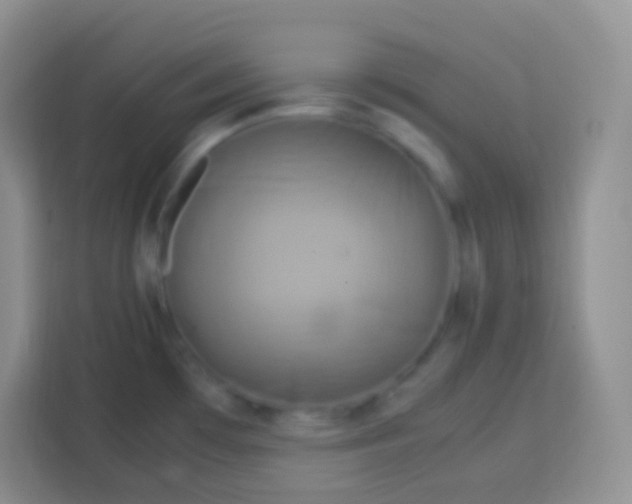 X0000113751481200910071056