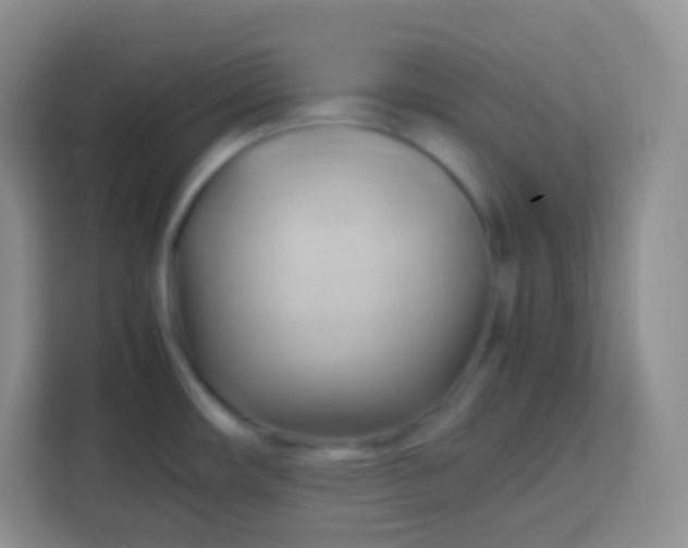 X0000113751482200910071056