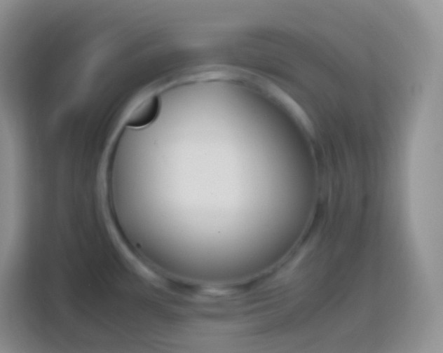 X0000113751483200910071056