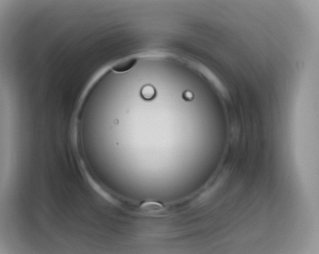 X0000113751484200910071056