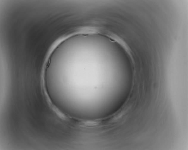 X0000113751488200910071056