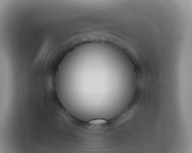 X0000113751490200910071055