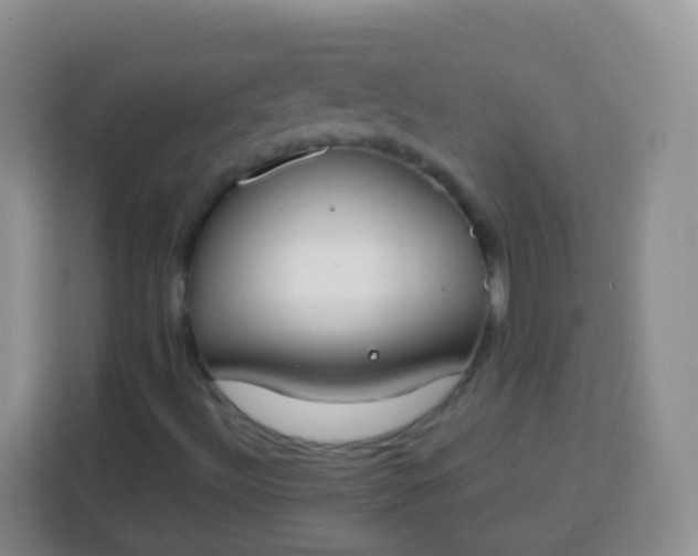 X0000113751492200910071055