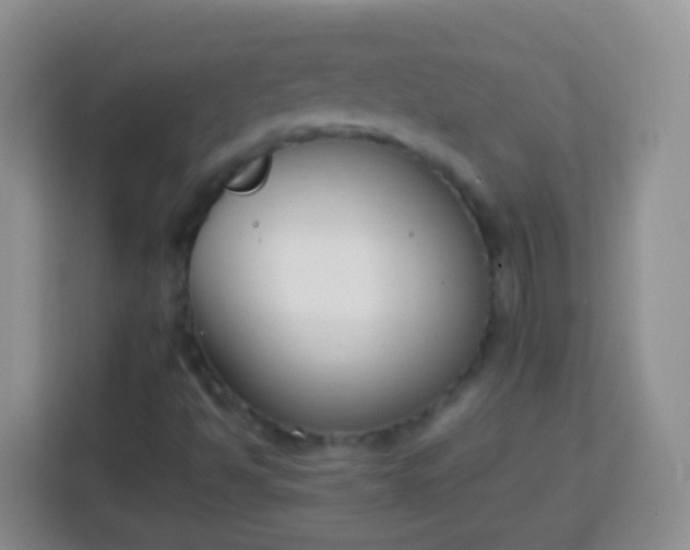 X0000113751494200910071055