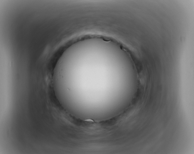 X0000113751495200910071055