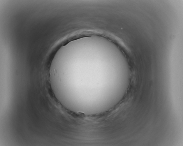 X0000113751496200910071055