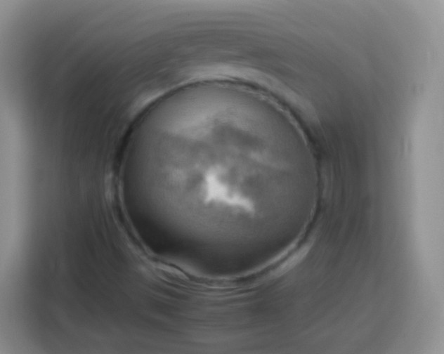 X0000113751497200910071055