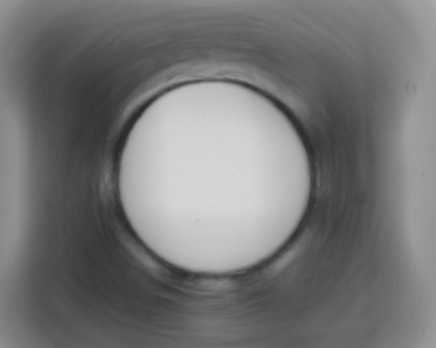 X0000113751498200910071055