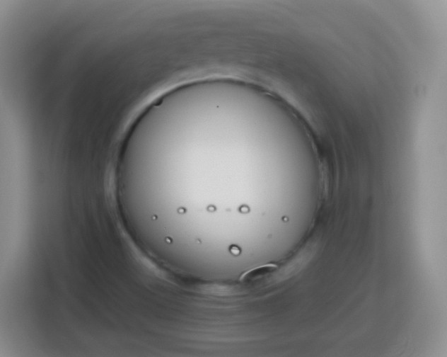 X0000113751500200910071055