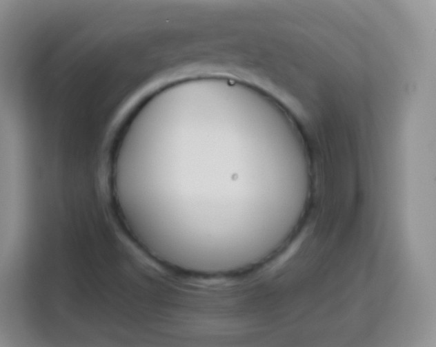 X0000113751502200910071055