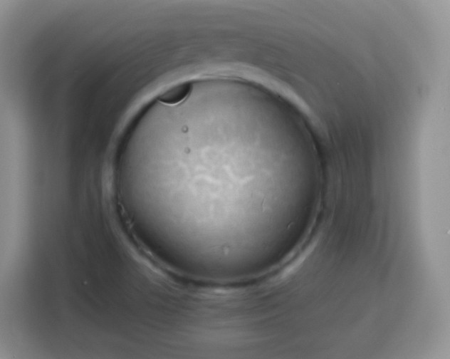 X0000113751506200910071055