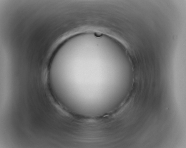 X0000113751507200910071055