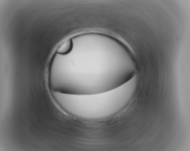 X0000113751508200910071055