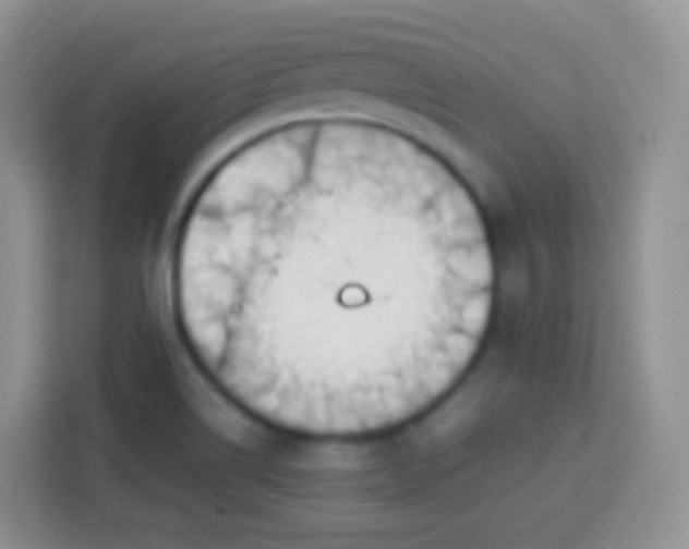 X0000113751514200910071055