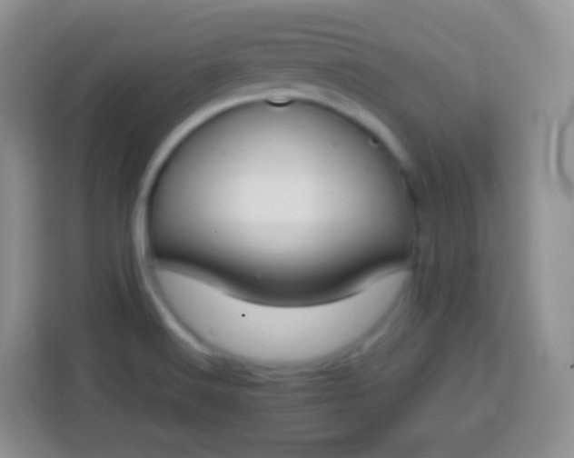 X0000113751516200910071056