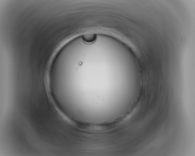 X0000113751517200910071056