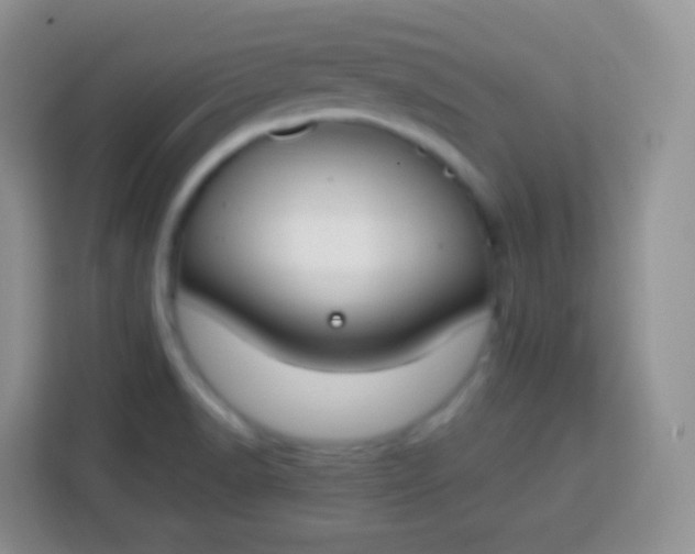 X0000113751518200910071056