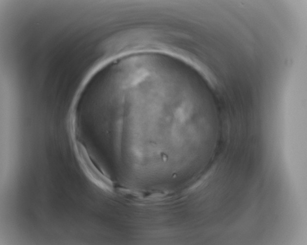 X0000113751519200910071056