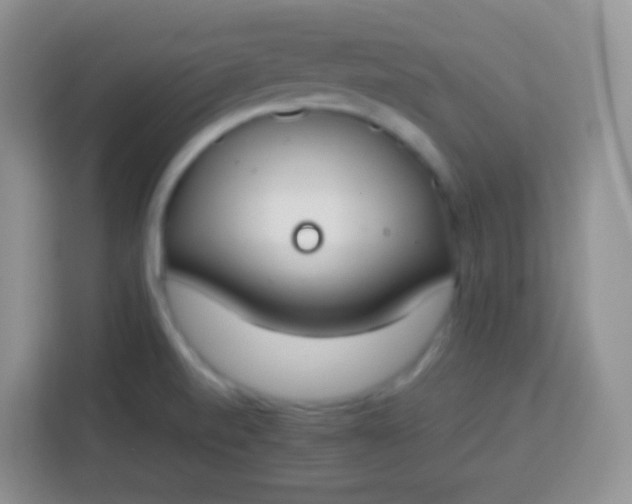 X0000113751520200910071056