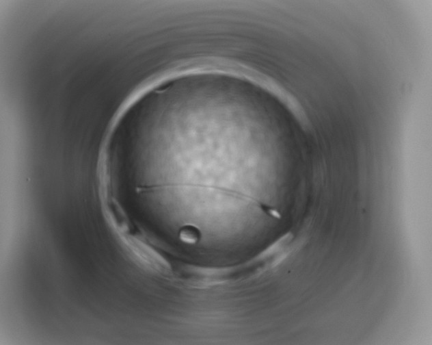 X0000113751522200910071056