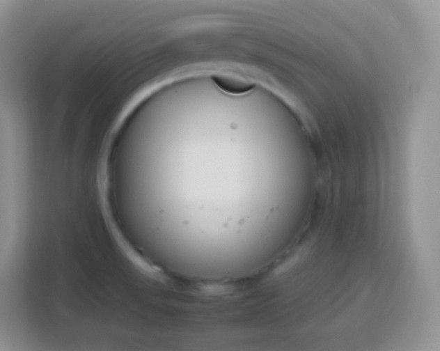 X0000113751523200910071056