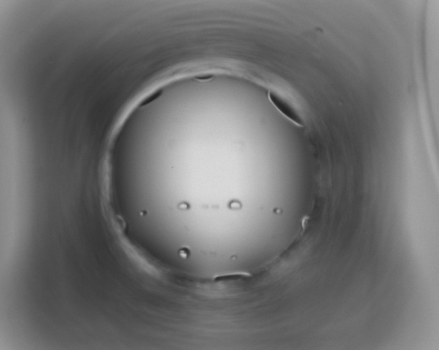 X0000113751524200910071056