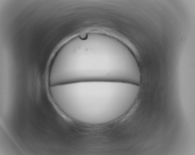 X0000113751525200910071056