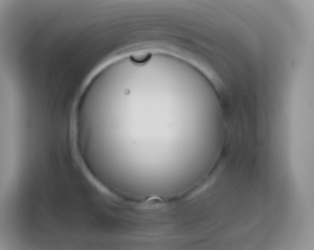 X0000113751526200910071056