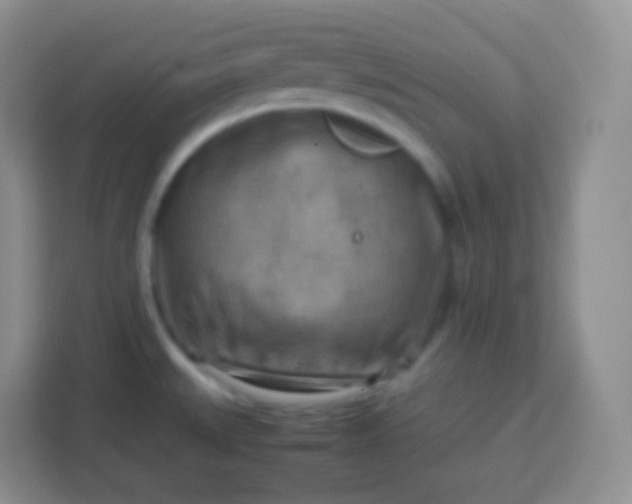 X0000113751527200910071056