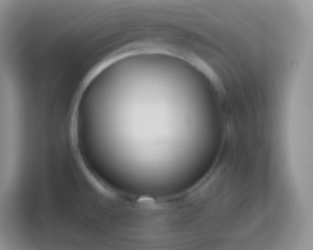 X0000113751528200910071056