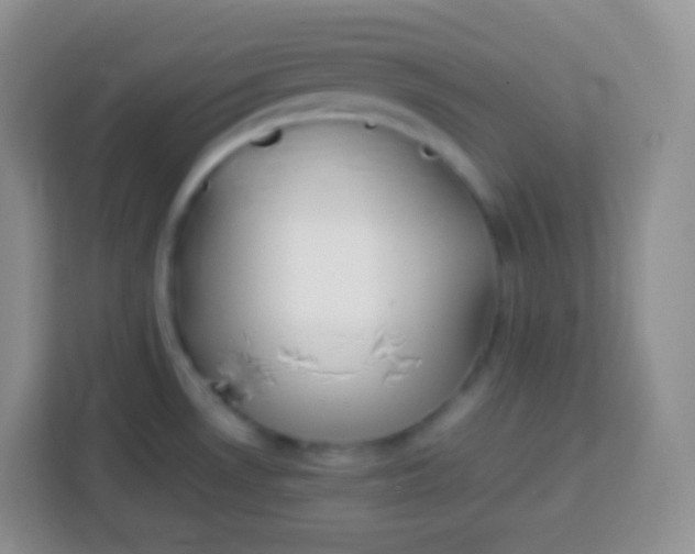 X0000113751530200910071056