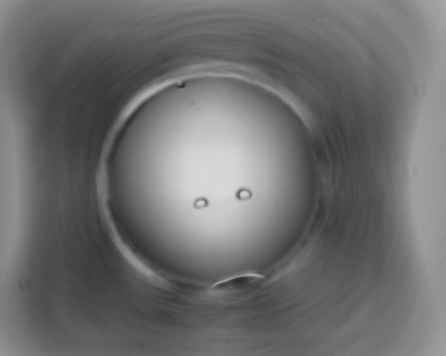 X0000113751531200910071056