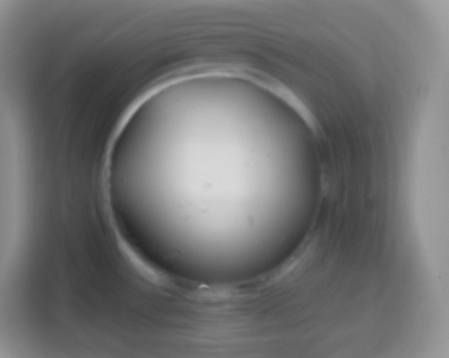 X0000113751532200910071056