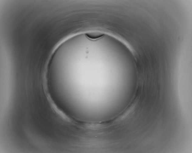 X0000113751534200910071056