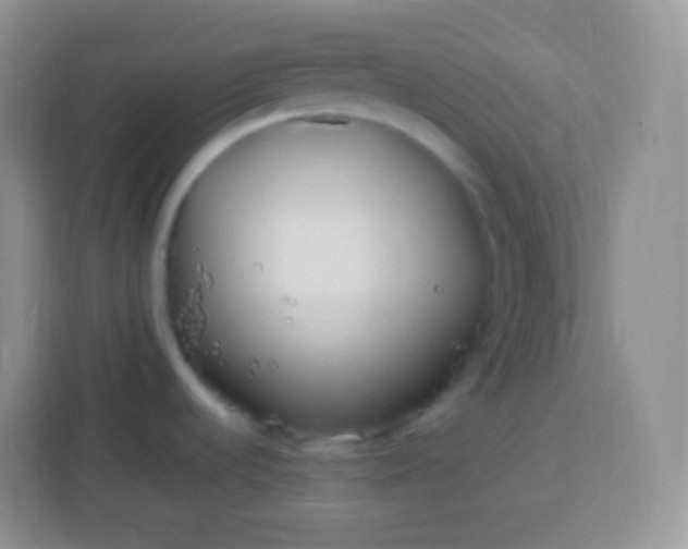 X0000113751536200910071056